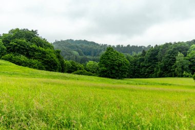 A springtime hike around the tourist attraction in Brotterode-Trusetal - the Trusetal waterfall - Thuringia - Germany clipart