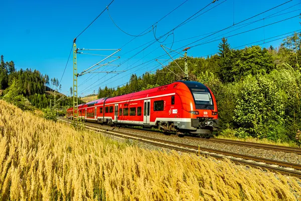 Demiryolu hattı - Franconia 'nın kuzeyindeki Steinbach am Wald yakınlarında Deutsche Bahn' ın Frankenwald güzergahı - 26 Ağustos 2024 - Almanya