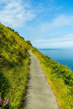 Devon, İngiltere 'deki küçük liman kasabası Lynmouth' a Kayalar Vadisi 'nde fantastik bir yürüyüş.