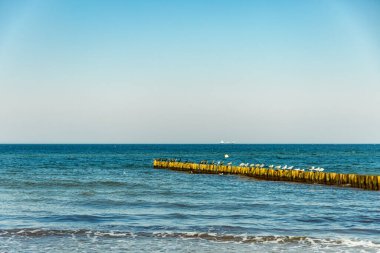 Rostock-Mecklenburg-Vorpommern 'in hemen dışındaki Nienhagen' in güzel kumlu kumlu plajında yaz sonlarına doğru bazı titreşimler hissediyoruz.