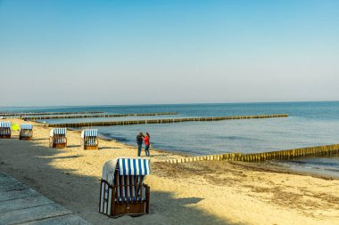 Nienhagen 'in Baltık Denizi sahillerinde gizemli hayalet ormanı Mecklenburg-Vorpommern Almanya