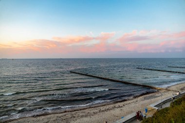 Nienhagen 'in Baltık Denizi sahillerinde gizemli hayalet ormanı Mecklenburg-Vorpommern Almanya