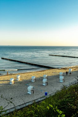 Nienhagen 'in Baltık Denizi sahillerinde gizemli hayalet ormanı Mecklenburg-Vorpommern Almanya