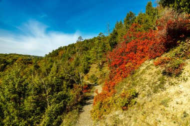 Jena, Thüringen, Almanya yakınlarındaki Saale Horizontale 'nin güzel manzarasında renkli bir sonbahar yürüyüşü.