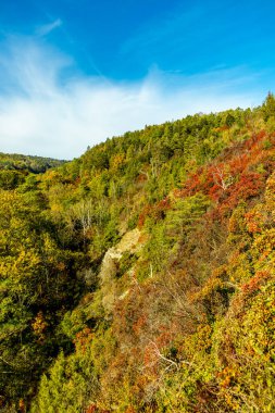 Jena, Thüringen, Almanya yakınlarındaki Saale Horizontale 'nin güzel manzarasında renkli bir sonbahar yürüyüşü.