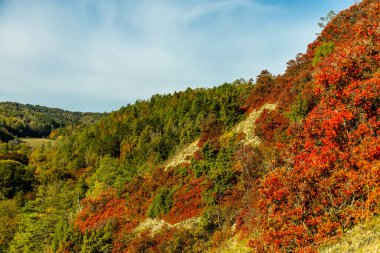 Jena, Thüringen, Almanya yakınlarındaki Saale Horizontale 'nin güzel manzarasında renkli bir sonbahar yürüyüşü.