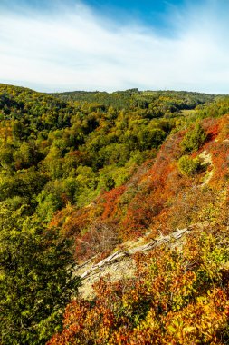 Jena, Thüringen, Almanya yakınlarındaki Saale Horizontale 'nin güzel manzarasında renkli bir sonbahar yürüyüşü.