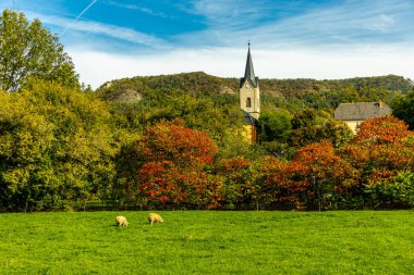 Jena, Thüringen, Almanya yakınlarındaki Saale Horizontale 'nin güzel manzarasında renkli bir sonbahar yürüyüşü.