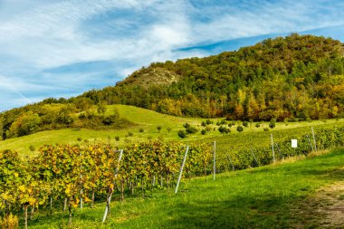 Jena, Thüringen, Almanya yakınlarındaki Saale Horizontale 'nin güzel manzarasında renkli bir sonbahar yürüyüşü.