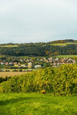 Jena, Thüringen, Almanya yakınlarındaki Saale Horizontale 'nin güzel manzarasında renkli bir sonbahar yürüyüşü.