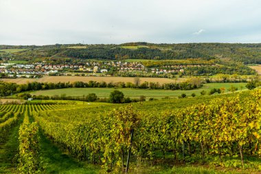 Jena, Thüringen, Almanya yakınlarındaki Saale Horizontale 'nin güzel manzarasında renkli bir sonbahar yürüyüşü.