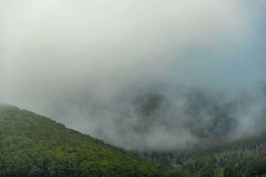 Hesse ve Thuringia arasındaki güzel Eichsfeld bölgesinde Bornhagen-Thuringia yakınlarındaki Hanstein Şatosu 'na gidiyor.
