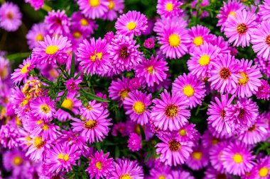 Hesse ve Thuringia arasındaki güzel Eichsfeld bölgesinde Bornhagen-Thuringia yakınlarındaki Hanstein Şatosu 'na gidiyor.