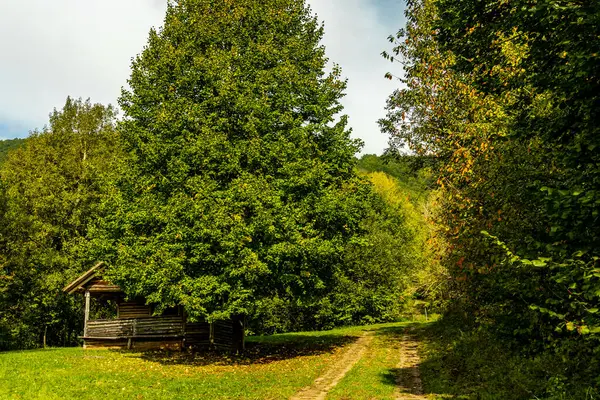 Hesse ve Thuringia arasındaki güzel Eichsfeld bölgesinde Bornhagen-Thuringia yakınlarındaki Hanstein Şatosu 'na gidiyor.