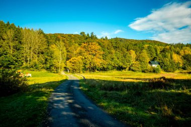 Schmalkalden 'de kısa sonbahar yürüyüşü harika bir günbatımı ile - Thüringen - Almanya