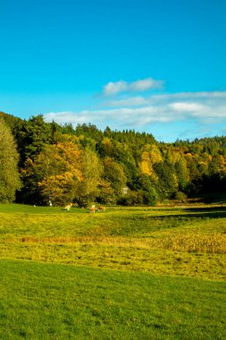 Schmalkalden 'de kısa sonbahar yürüyüşü harika bir günbatımı ile - Thüringen - Almanya