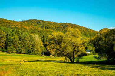 Schmalkalden 'de kısa sonbahar yürüyüşü harika bir günbatımı ile - Thüringen - Almanya
