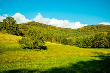 Schmalkalden 'de kısa sonbahar yürüyüşü harika bir günbatımı ile - Thüringen - Almanya