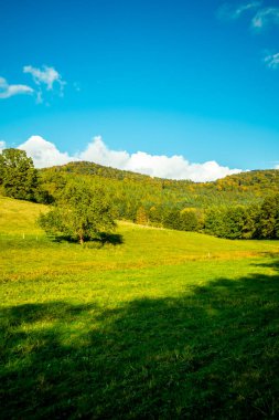 Schmalkalden 'de kısa sonbahar yürüyüşü harika bir günbatımı ile - Thüringen - Almanya