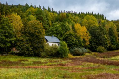 Schmalkalden yakınlarındaki Thüringen Ormanı 'nın güney-batı yamacında yağmurlu sonbahar havasında yürüyün.