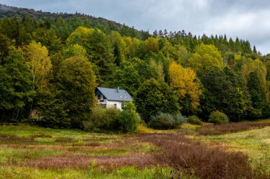 Schmalkalden yakınlarındaki Thüringen Ormanı 'nın güney-batı yamacında yağmurlu sonbahar havasında yürüyün.