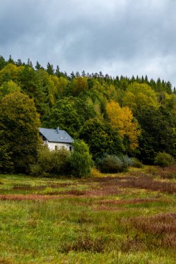 Schmalkalden yakınlarındaki Thüringen Ormanı 'nın güney-batı yamacında yağmurlu sonbahar havasında yürüyün.