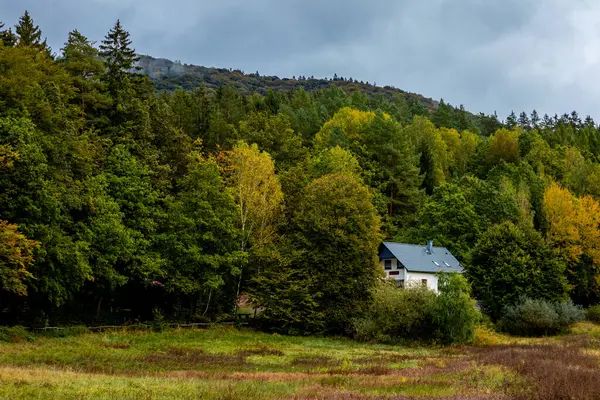 Schmalkalden yakınlarındaki Thüringen Ormanı 'nın güney-batı yamacında yağmurlu sonbahar havasında yürüyün.