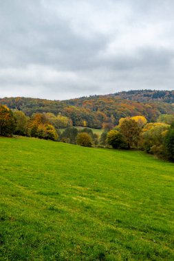 Thüringen Ormanı 'nda Schmalkalden ve Brotterode - Thüringen - Almanya arasında Mommelstein bisiklet yolu üzerinde bir sonbahar bisiklet turu.