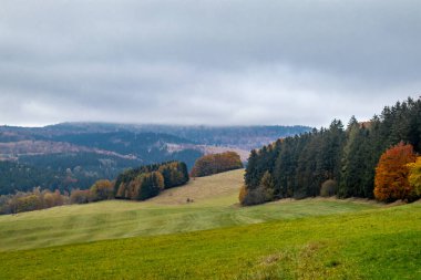 Thüringen Ormanı 'nda Schmalkalden ve Brotterode - Thüringen - Almanya arasında Mommelstein bisiklet yolu üzerinde bir sonbahar bisiklet turu.