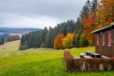 Thüringen Ormanı 'nda Schmalkalden ve Brotterode - Thüringen - Almanya arasında Mommelstein bisiklet yolu üzerinde bir sonbahar bisiklet turu.