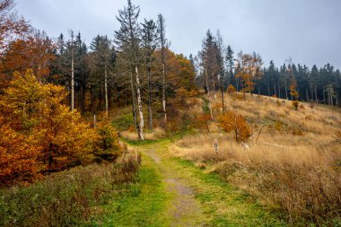 Thüringen Ormanı 'nda Schmalkalden ve Brotterode - Thüringen - Almanya arasında Mommelstein bisiklet yolu üzerinde bir sonbahar bisiklet turu.