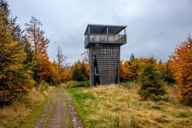 Thüringen Ormanı 'nda Schmalkalden ve Brotterode - Thüringen - Almanya arasında Mommelstein bisiklet yolu üzerinde bir sonbahar bisiklet turu.