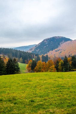 Thüringen Ormanı 'nda Schmalkalden ve Brotterode - Thüringen - Almanya arasında Mommelstein bisiklet yolu üzerinde bir sonbahar bisiklet turu.