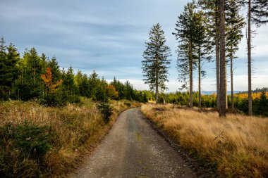 An autumn hike to the mountain lake at the Ebertswiese in the colourful Thuringian Forest - Thuringia - Germany clipart