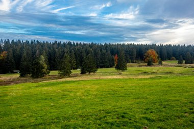 Thüringen 'in renkli ormanlarındaki Ebertswiese' deki dağ gölüne yapılan sonbahar yürüyüşü - Almanya