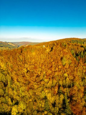 Kleinschmalkalden - Thüringen - Almanya yakınlarındaki Henkeltpfchen Güz Ormanı