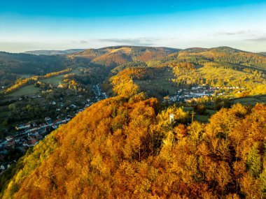 Kleinschmalkalden - Thüringen - Almanya yakınlarındaki Henkeltpfchen Güz Ormanı