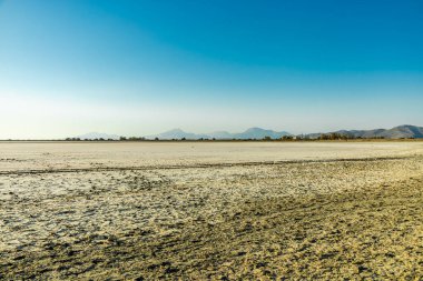 A short walk on the beach around the beautiful salt lake at Marmari in the South Aegean with a view of a few flamingos - Greece  clipart