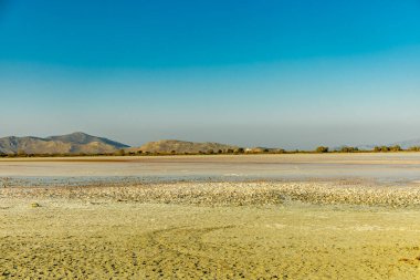 Güney Ege 'deki Marmari' deki güzel tuz gölü etrafında birkaç flamingo manzaralı sahilde kısa bir yürüyüş - Yunanistan 