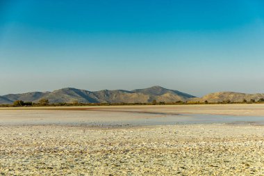 Güney Ege 'deki Marmari' deki güzel tuz gölü etrafında birkaç flamingo manzaralı sahilde kısa bir yürüyüş - Yunanistan 