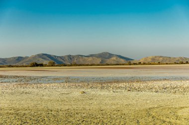Güney Ege 'deki Marmari' deki güzel tuz gölü etrafında birkaç flamingo manzaralı sahilde kısa bir yürüyüş - Yunanistan 