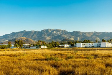 Güney Ege 'deki Marmari' deki güzel tuz gölü etrafında birkaç flamingo manzaralı sahilde kısa bir yürüyüş - Yunanistan 