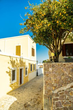 Güney Ege 'deki Yunanistan' ın Kos adasının en yüksek noktasına - Dikeos Dağı - Yunanistan 