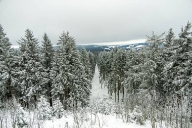 Karla kaplı Thüringen Ormanı 'ndaki Rennsteig tren istasyonuna kış yürüyüşü - Schmiedefeld - Thüringen - Almanya