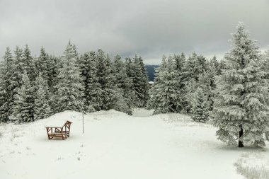 A winter hike to Rennsteig railway station in the snow-covered Thuringian Forest - Schmiedefeld - Thuringia - Germany clipart