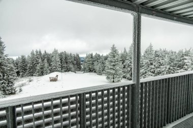 Karla kaplı Thüringen Ormanı 'ndaki Rennsteig tren istasyonuna kış yürüyüşü - Schmiedefeld - Thüringen - Almanya