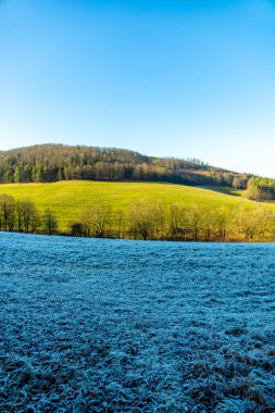 Thüringen-Thüringen 'in güneyindeki Meiningen kasabasının etrafındaki Extratour yürüyüş yolunda kısa bir yürüyüş.