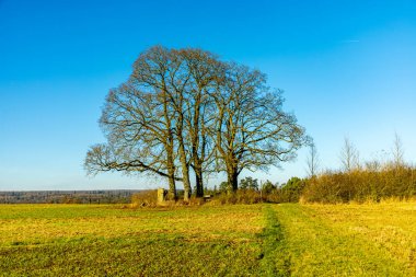 Thüringen-Thüringen 'in güneyindeki Meiningen kasabasının etrafındaki Extratour yürüyüş yolunda kısa bir yürüyüş.