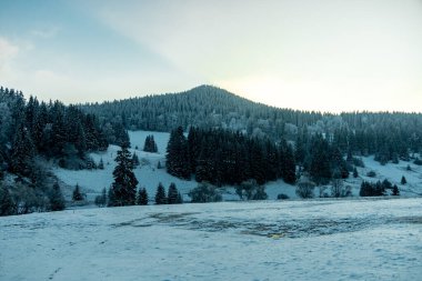 Oberhof yakınlarındaki Thuringian Ormanı 'nda kış yürüyüşü - Thüringen - Almanya