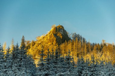 Oberhof yakınlarındaki Thuringian Ormanı 'nda kış yürüyüşü - Thüringen - Almanya